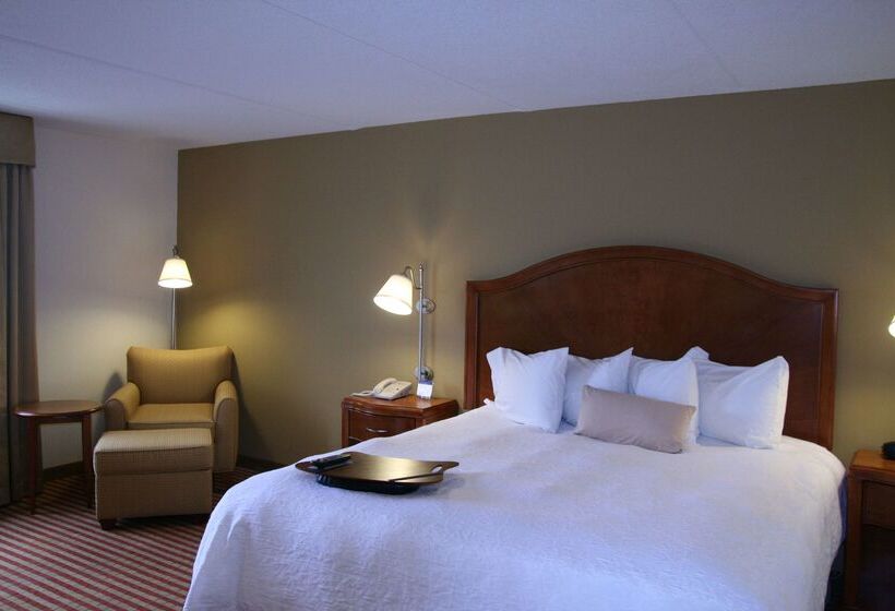 호텔 Hampton Inn Roanoke/hollins  I81