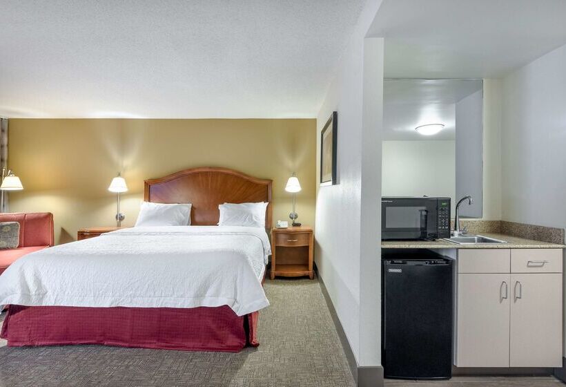 호텔 Hampton Inn Roanoke/hollins  I81
