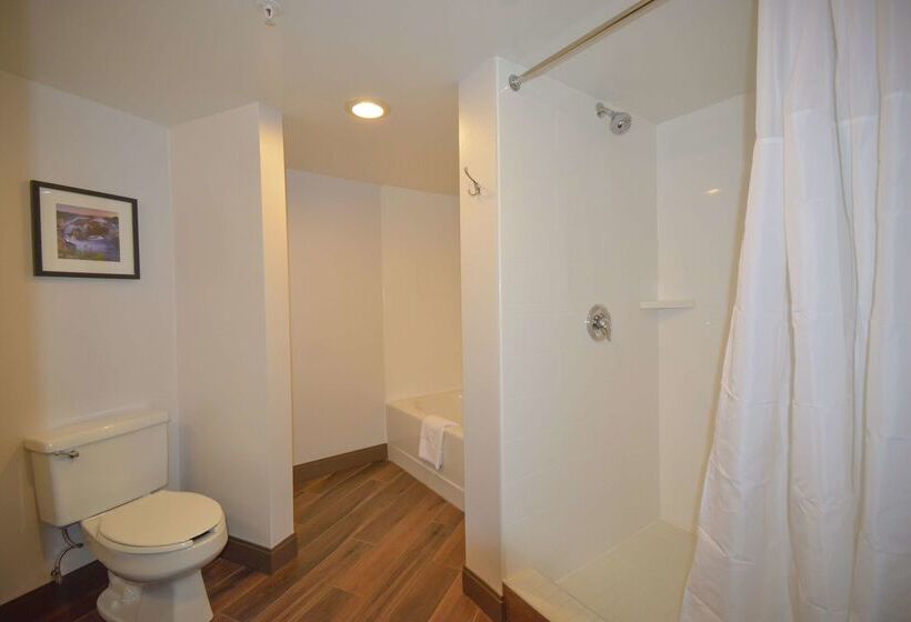 فندق Hampton Inn Salem Eastelectric Road