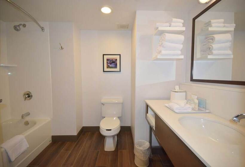 فندق Hampton Inn Salem Eastelectric Road