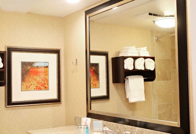 Отель Hampton Inn Salt Lake City North