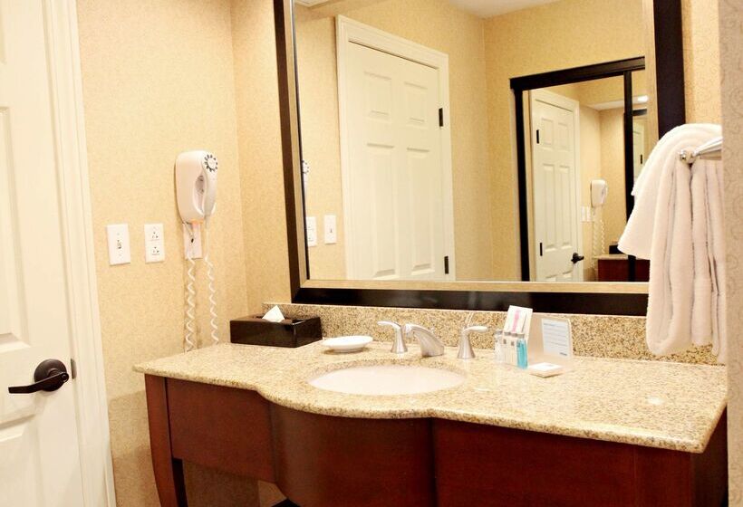 Отель Hampton Inn Salt Lake City North