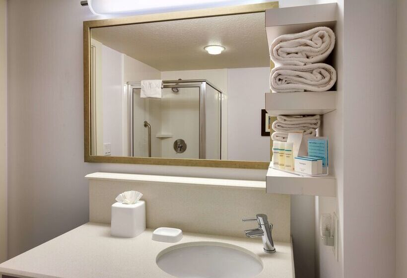 فندق Hampton Inn Salt Lake Citydowntown
