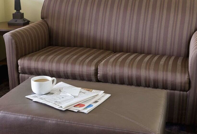 فندق Hampton Inn San Angelo