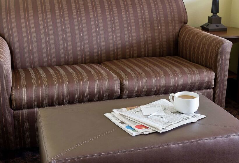 فندق Hampton Inn San Angelo