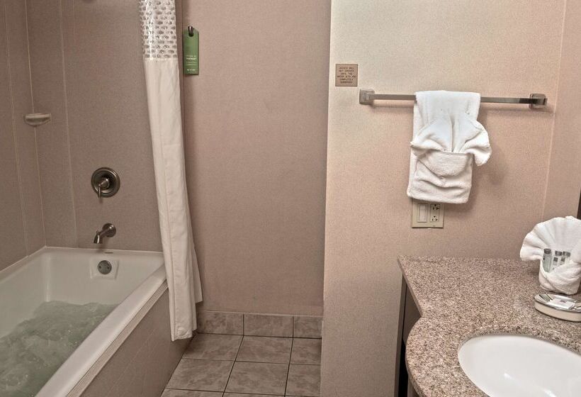 בית מלון כפרי Hampton Inn Sanford