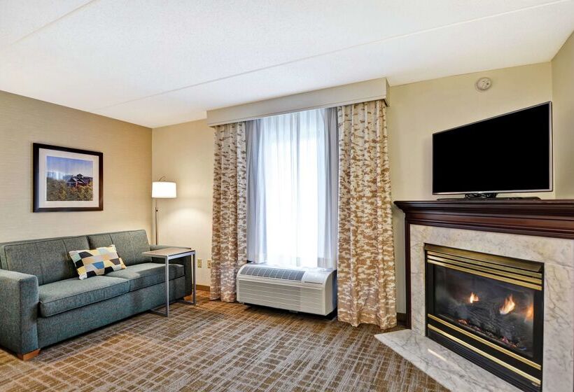 בית מלון כפרי Hampton Inn Scranton At Montage Mountain