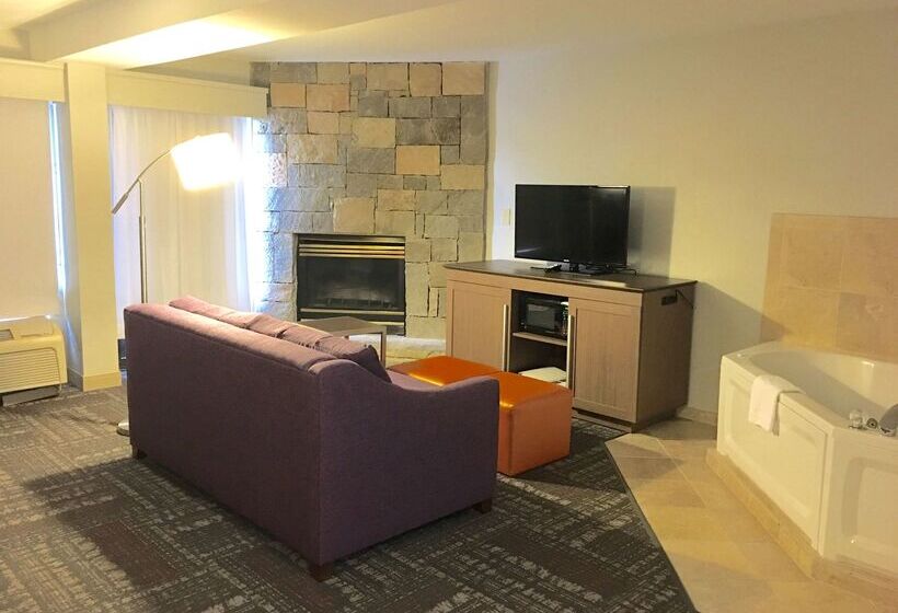 هتل Hampton Inn Sevierville