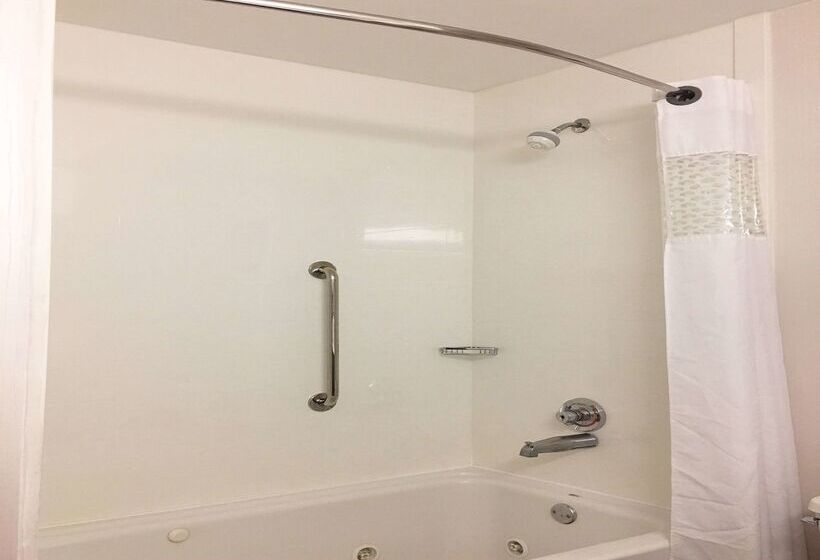 هتل Hampton Inn Sevierville