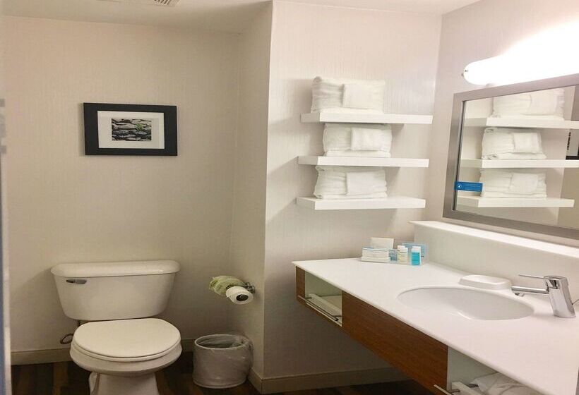 هتل Hampton Inn Sevierville