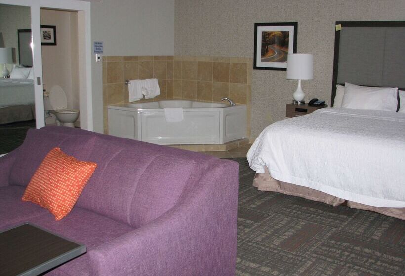 هتل Hampton Inn Sevierville