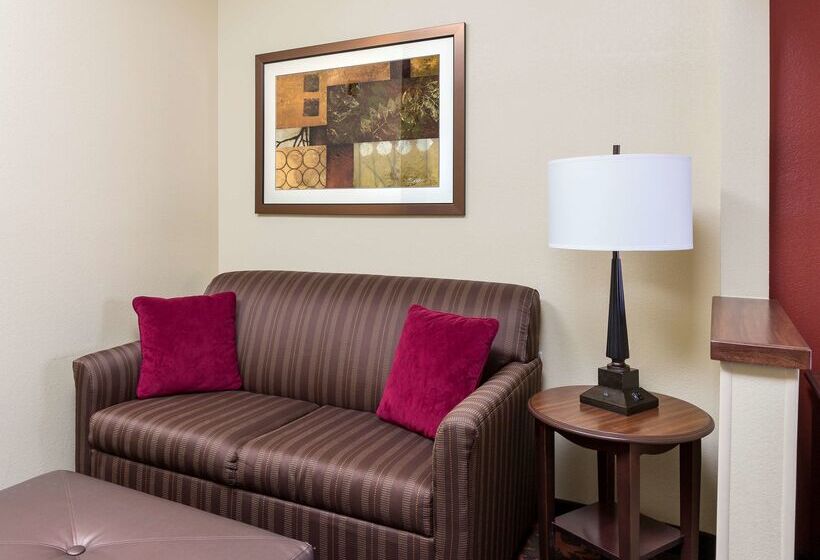 호텔 Hampton Inn Shawnee