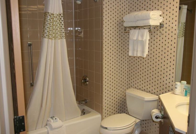 בית מלון כפרי Hampton Inn Sioux Falls