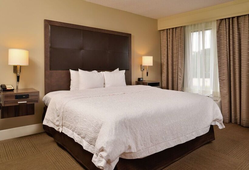 فندق Hampton Inn South Hill