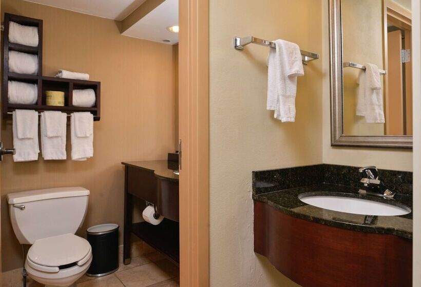 فندق Hampton Inn South Hill