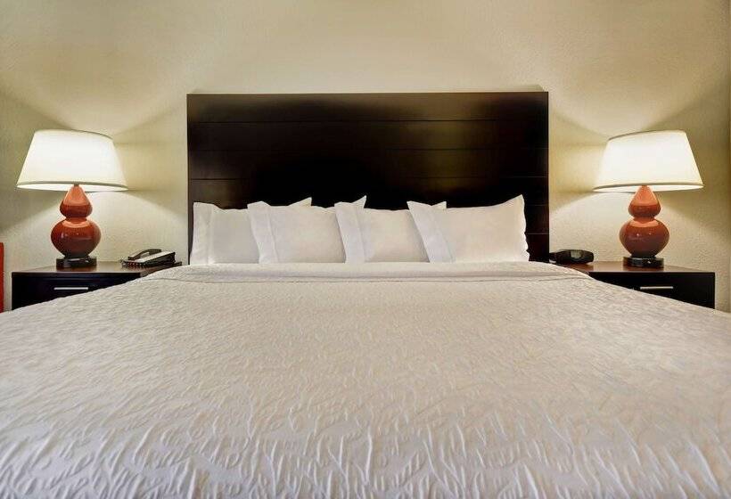 فندق Hampton Inn Starkville