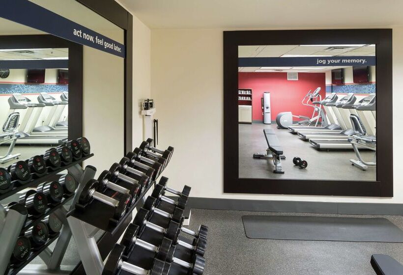 فندق Hampton Inn & Suites Atlantadowntown