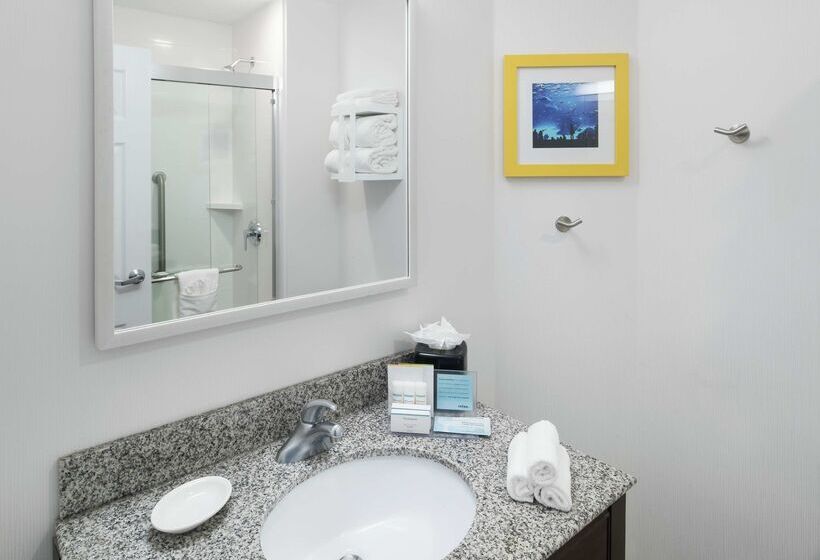 فندق Hampton Inn & Suites Atlantadowntown