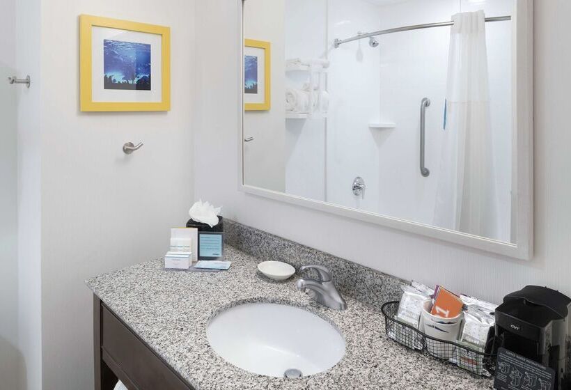 فندق Hampton Inn & Suites Atlantadowntown