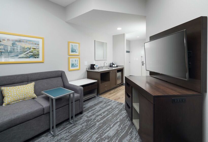 فندق Hampton Inn & Suites Atlantadowntown
