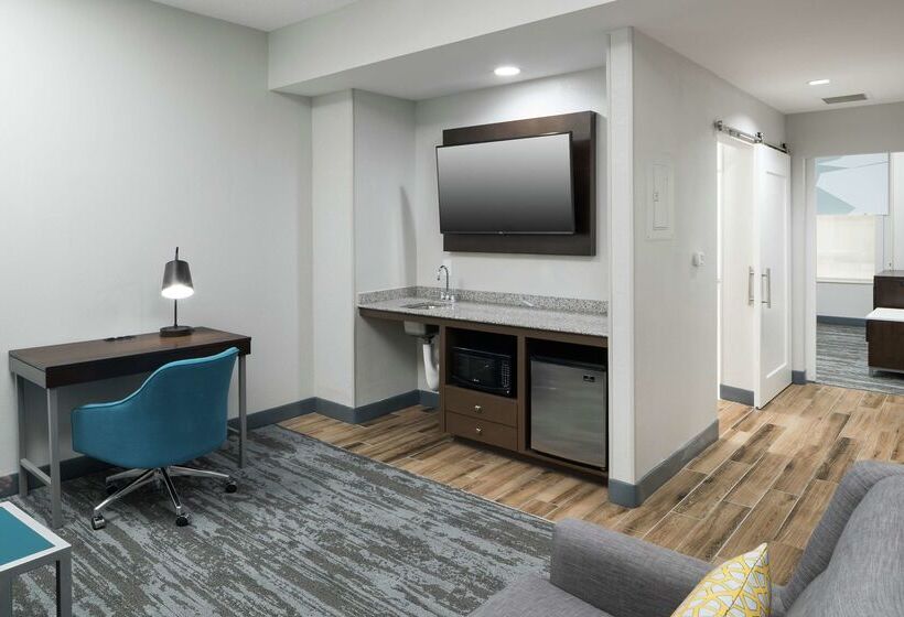 فندق Hampton Inn & Suites Atlantadowntown