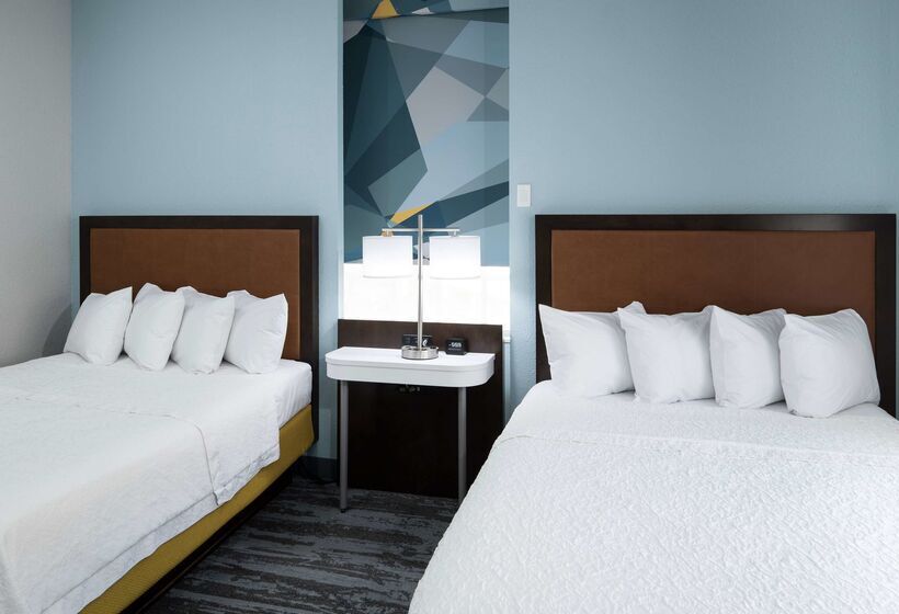 فندق Hampton Inn & Suites Atlantadowntown