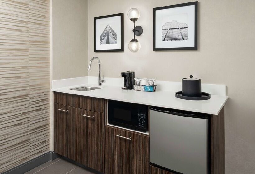 هتل Hampton Inn & Suites Chicagodowntown