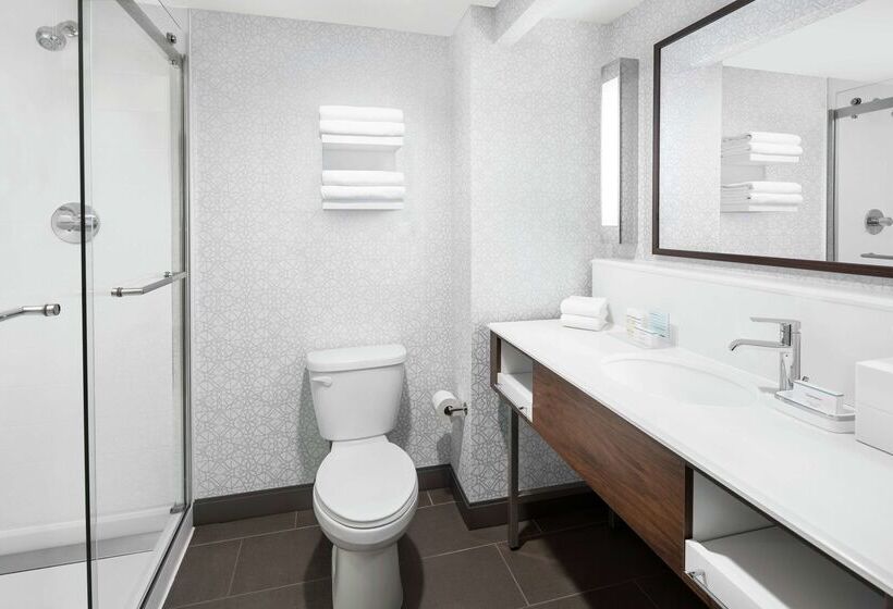 هتل Hampton Inn & Suites Chicagodowntown