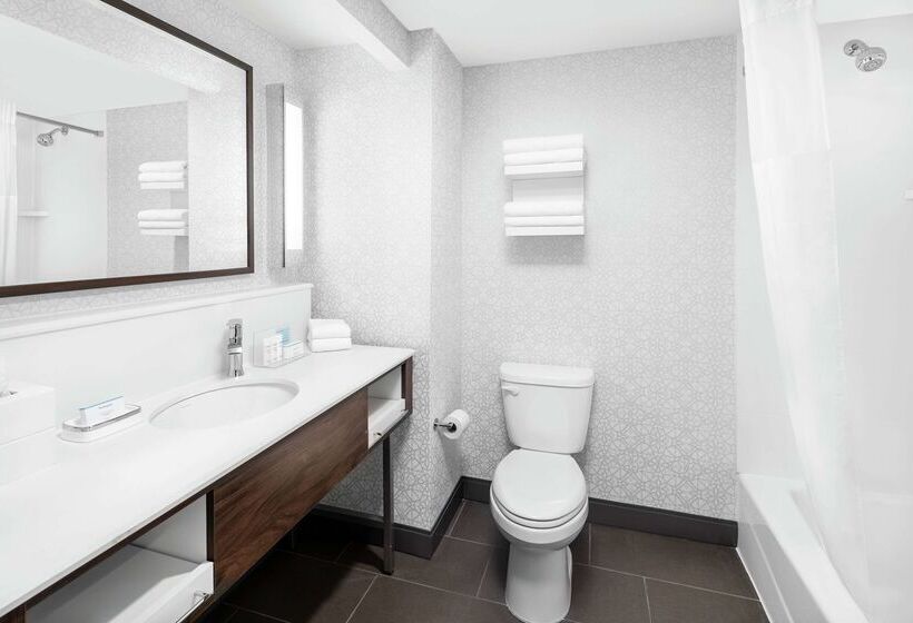 هتل Hampton Inn & Suites Chicagodowntown
