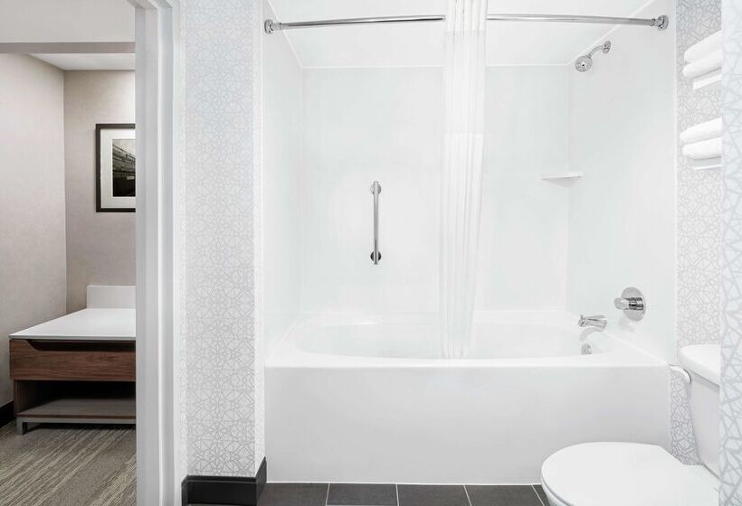 هتل Hampton Inn & Suites Chicagodowntown