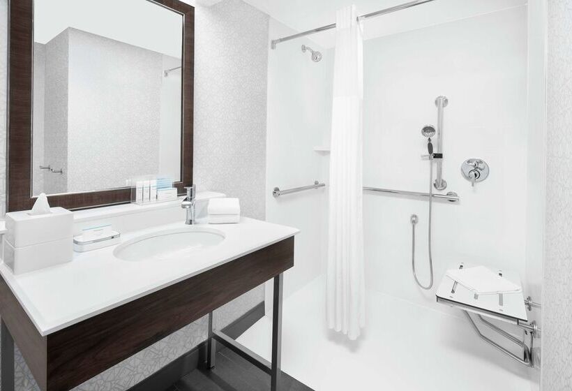 هتل Hampton Inn & Suites Chicagodowntown