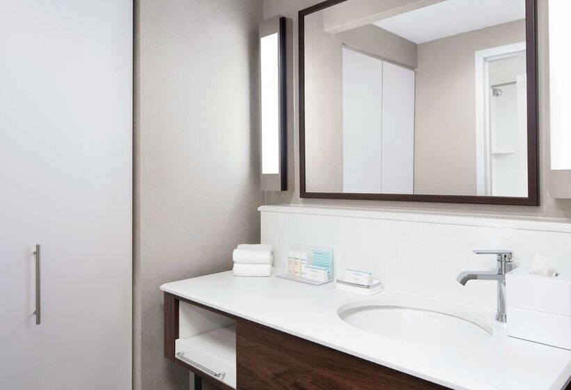 هتل Hampton Inn & Suites Chicagodowntown