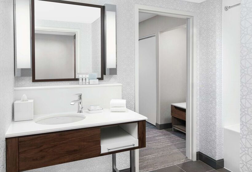 هتل Hampton Inn & Suites Chicagodowntown