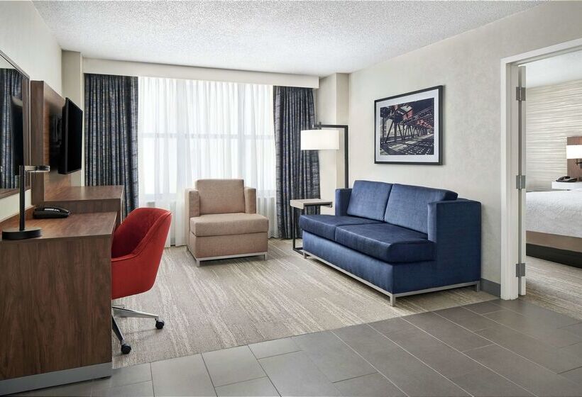 هتل Hampton Inn & Suites Chicagodowntown