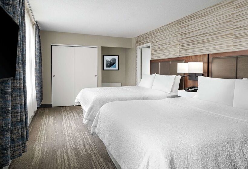 هتل Hampton Inn & Suites Chicagodowntown