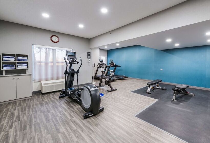 فندق Hampton Inn & Suites Chicago/hoffman Estates