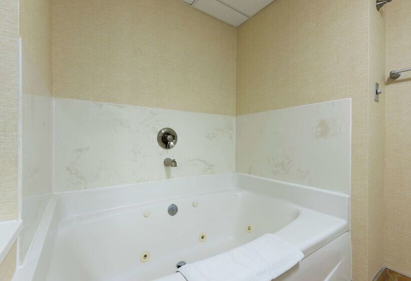 酒店 Hampton Inn & Suites Clevelandairport/middleburg Heights