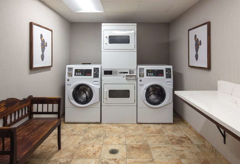 호텔 Hampton Inn & Suites El Pasoairport