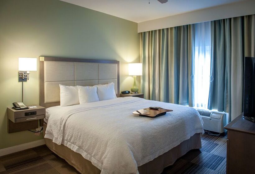 هتل Hampton Inn & Suites New Orleans Elmwood/clearview Pkway, La