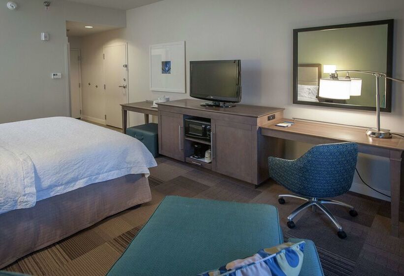 هتل Hampton Inn & Suites New Orleans Elmwood/clearview Pkway, La