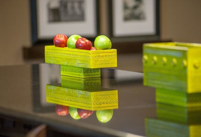 هتل Hampton Inn & Suites New Orleans Elmwood/clearview Pkway, La