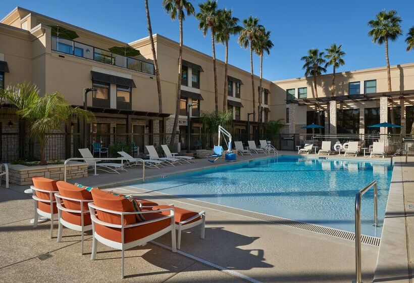酒店 Hampton Inn & Suites Phoenix/scottsdale On Shea Boulevard
