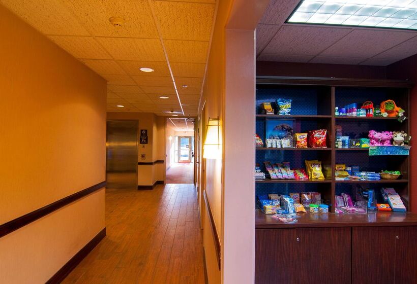 فندق Hampton Inn & Suites Tampanorth