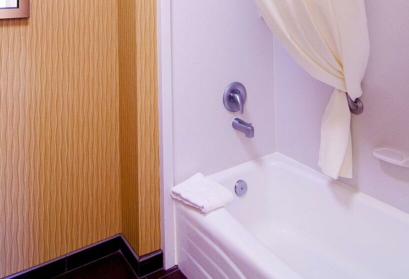 فندق Hampton Inn & Suites Tampanorth