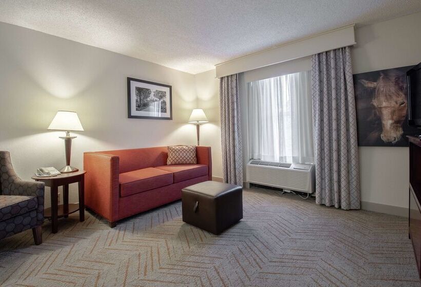 בית מלון כפרי Hampton Inn & Suites Williamsburgrichmond Rd