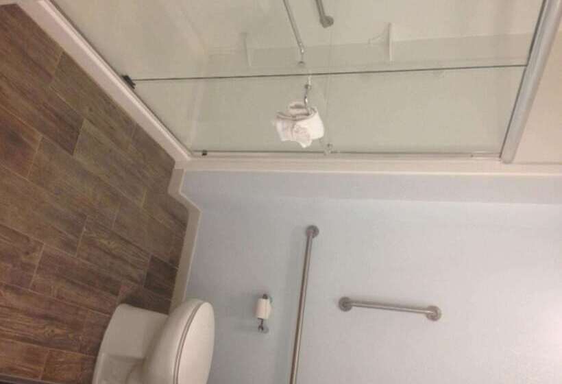 فندق Hampton Inn Tampa/rocky Pointairport