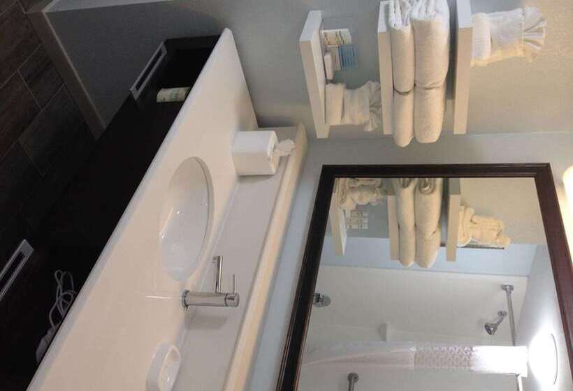 فندق Hampton Inn Tampa/rocky Pointairport