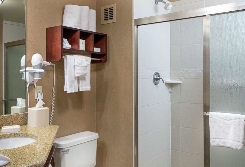 酒店 Hampton Inn Tuscaloosa University