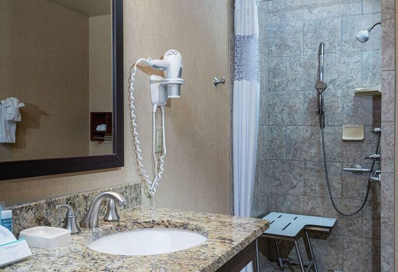 酒店 Hampton Inn Tuscaloosa University