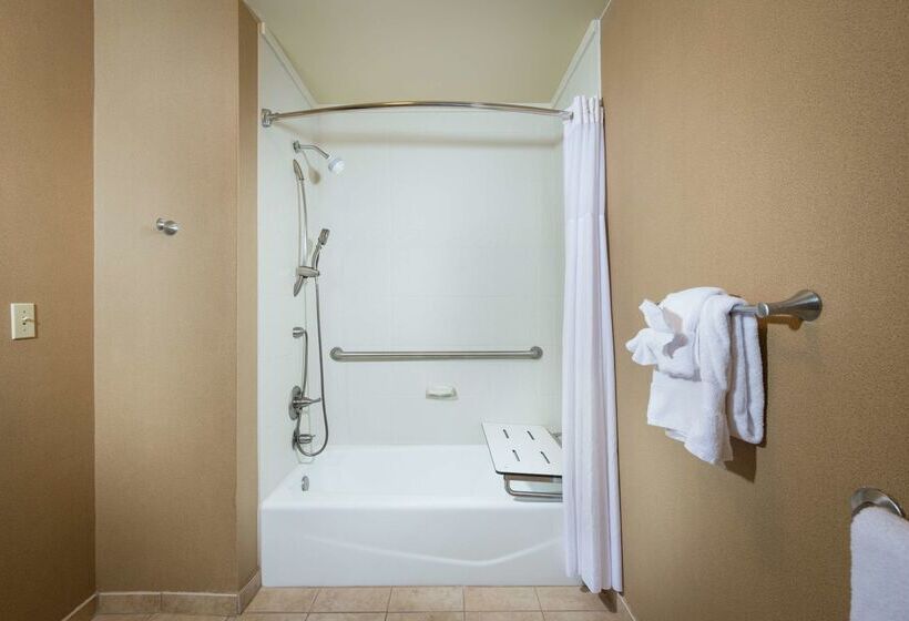 酒店 Hampton Inn Tuscaloosa University